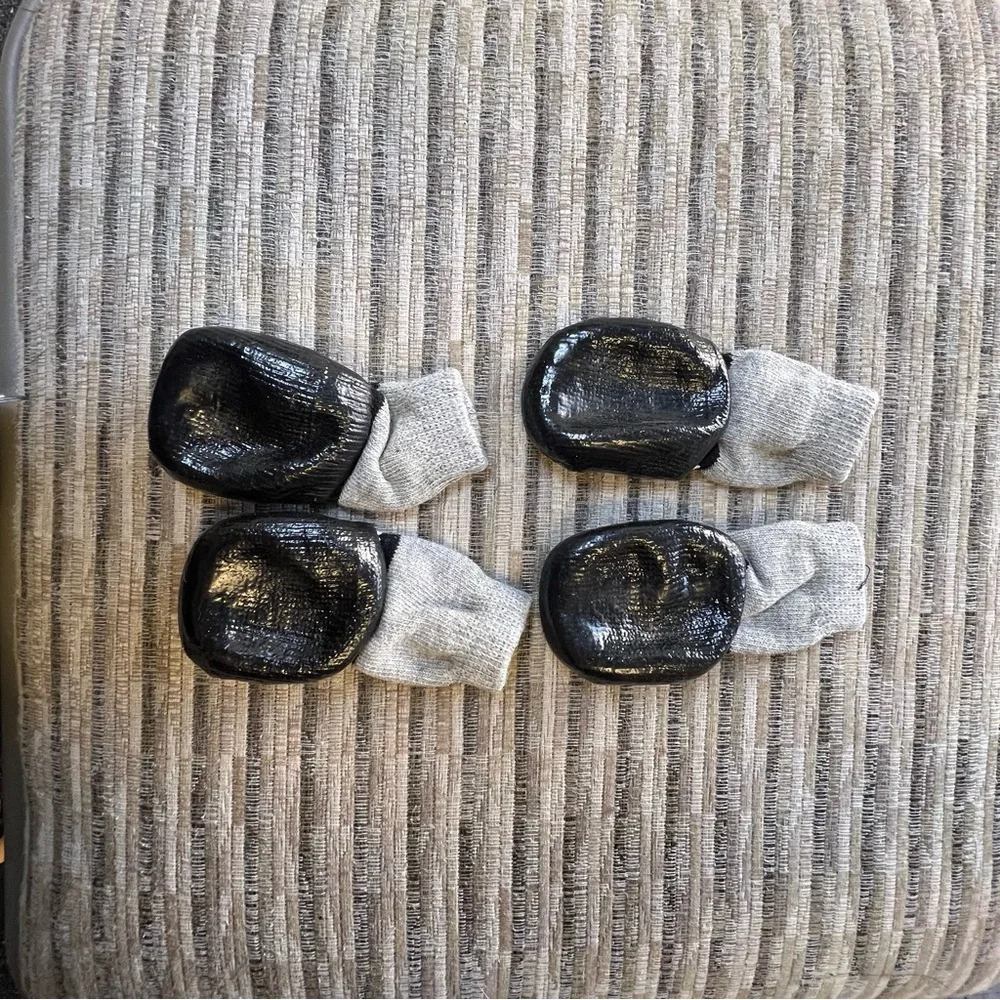 Puppy Black and Gray Shoes